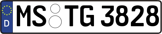 MS-TG3828