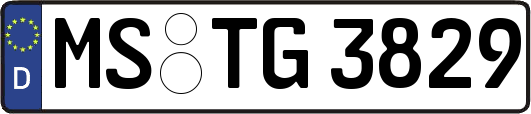 MS-TG3829