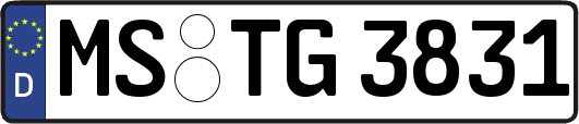 MS-TG3831