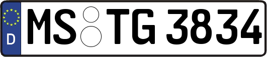 MS-TG3834