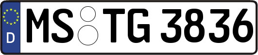 MS-TG3836