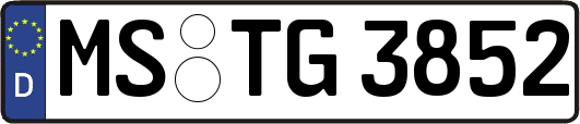 MS-TG3852