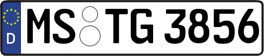MS-TG3856