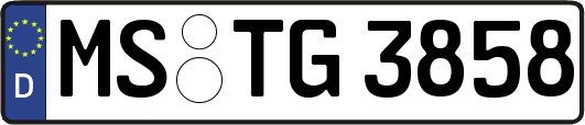 MS-TG3858