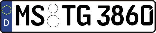 MS-TG3860