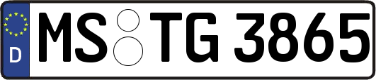 MS-TG3865