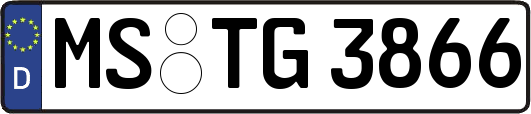 MS-TG3866