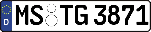 MS-TG3871