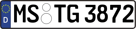 MS-TG3872