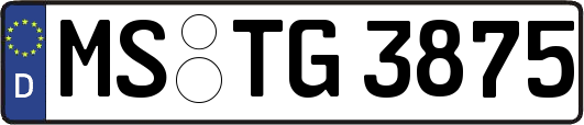 MS-TG3875