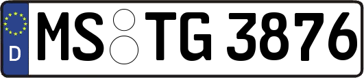 MS-TG3876