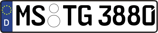 MS-TG3880