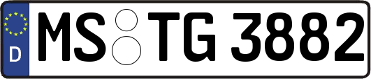 MS-TG3882