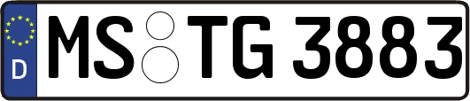 MS-TG3883