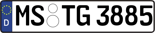 MS-TG3885