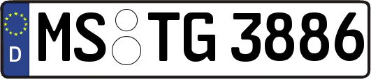 MS-TG3886