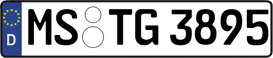 MS-TG3895
