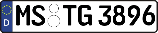 MS-TG3896