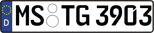 MS-TG3903
