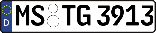 MS-TG3913