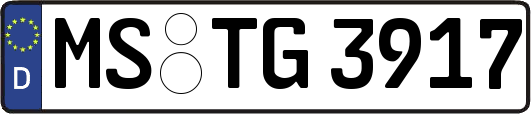 MS-TG3917