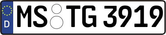 MS-TG3919