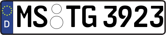 MS-TG3923