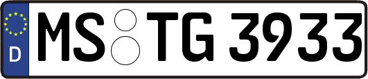 MS-TG3933