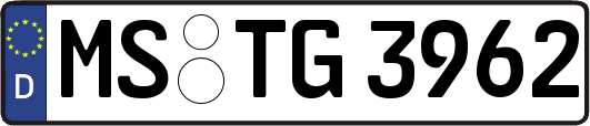 MS-TG3962