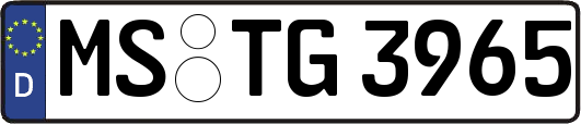MS-TG3965