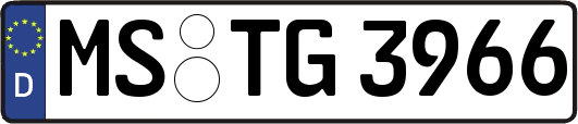 MS-TG3966