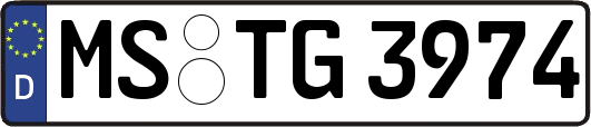 MS-TG3974