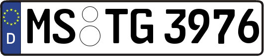 MS-TG3976