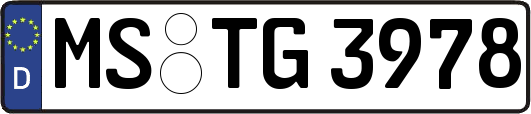 MS-TG3978