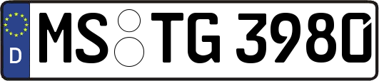 MS-TG3980