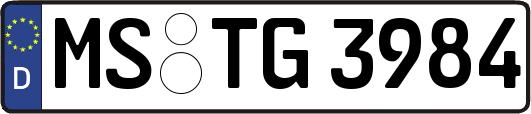 MS-TG3984