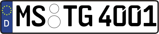MS-TG4001