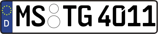 MS-TG4011