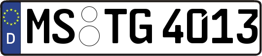 MS-TG4013