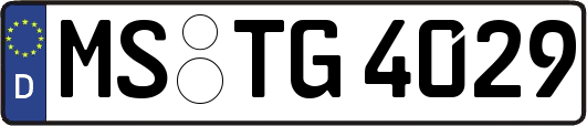 MS-TG4029