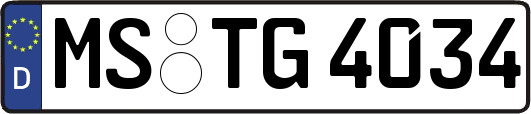 MS-TG4034