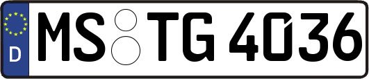MS-TG4036