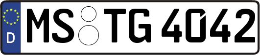 MS-TG4042
