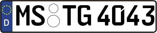 MS-TG4043