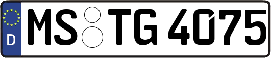 MS-TG4075