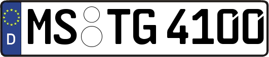 MS-TG4100