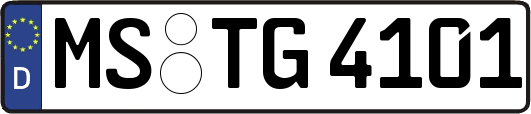 MS-TG4101