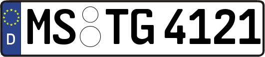 MS-TG4121