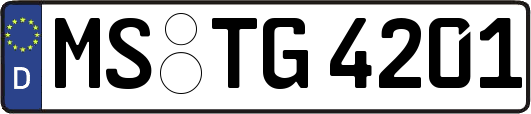 MS-TG4201