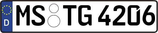 MS-TG4206
